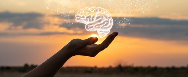Improve Your Mental Health